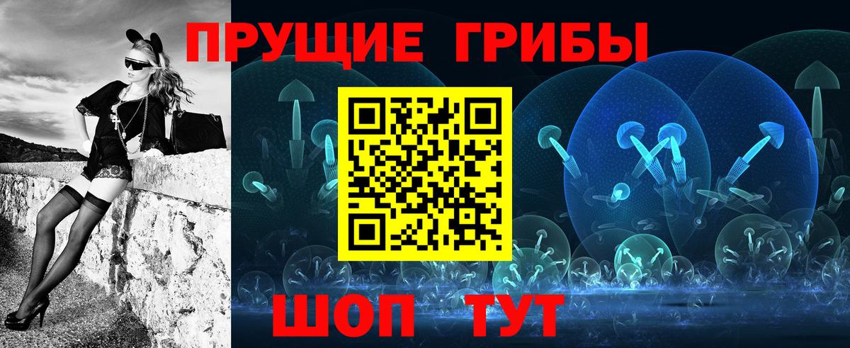 Псилоцибиновые грибы Psilocybine cubensis  Вход с VPN  Верхняя Салда 