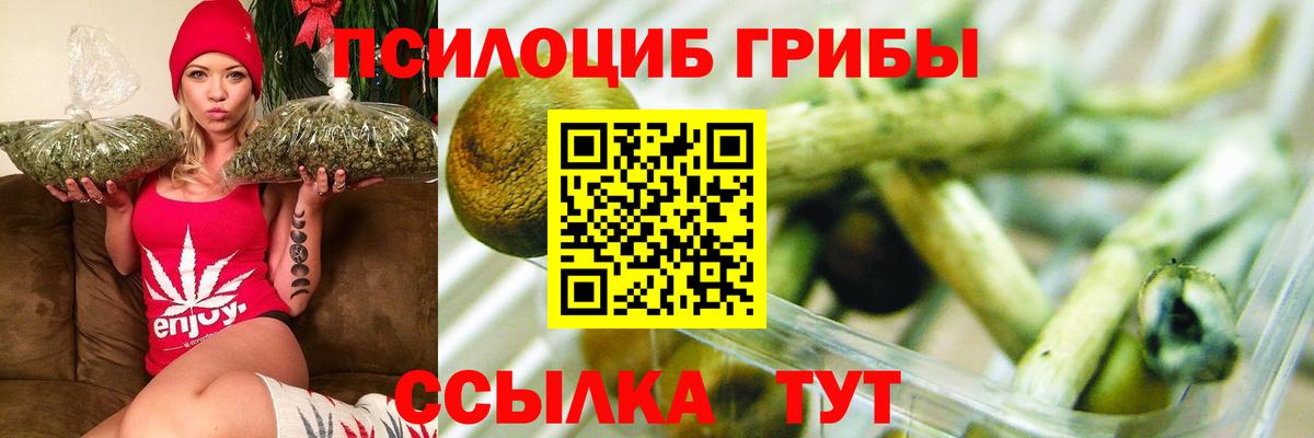 Псилоцибиновые грибы Cubensis Верхняя Салда